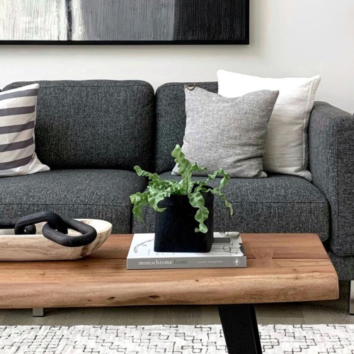 a couch with a coffee table with a plant and decor on it